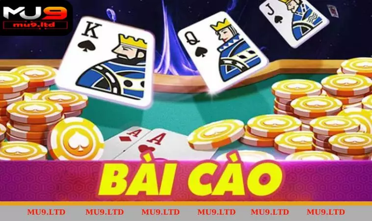Tổng quan về các quy tắc cơ bản trong trò chơi bài